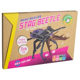 Build Your Own Stag Beetle Kit
